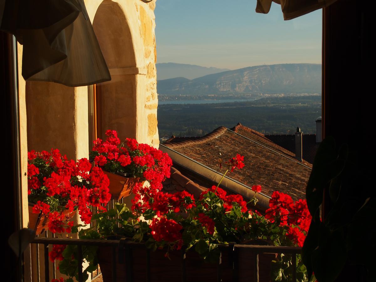 Bed and Breakfast Les Lumieres De Geneve Grilly Exterior foto