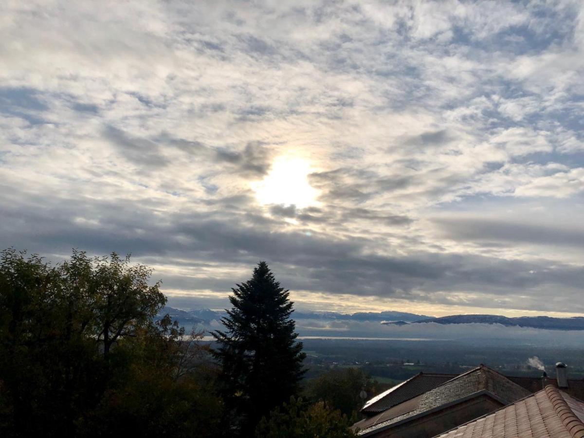 Bed and Breakfast Les Lumieres De Geneve Grilly Exterior foto